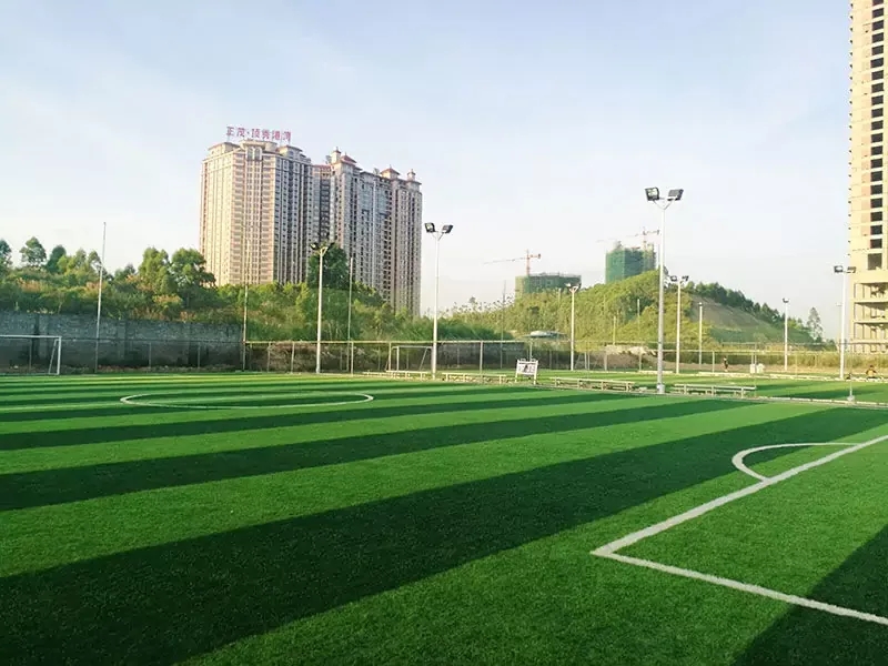 广西省防城港市埠上桃源足球俱乐部